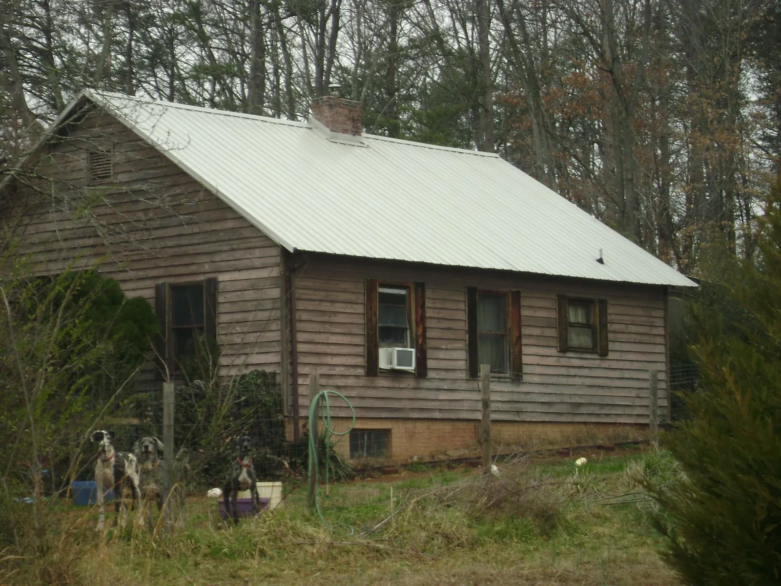 White metal roof on an old wood sided farmhouse, from a Metal Roof Installation job in Absaraka